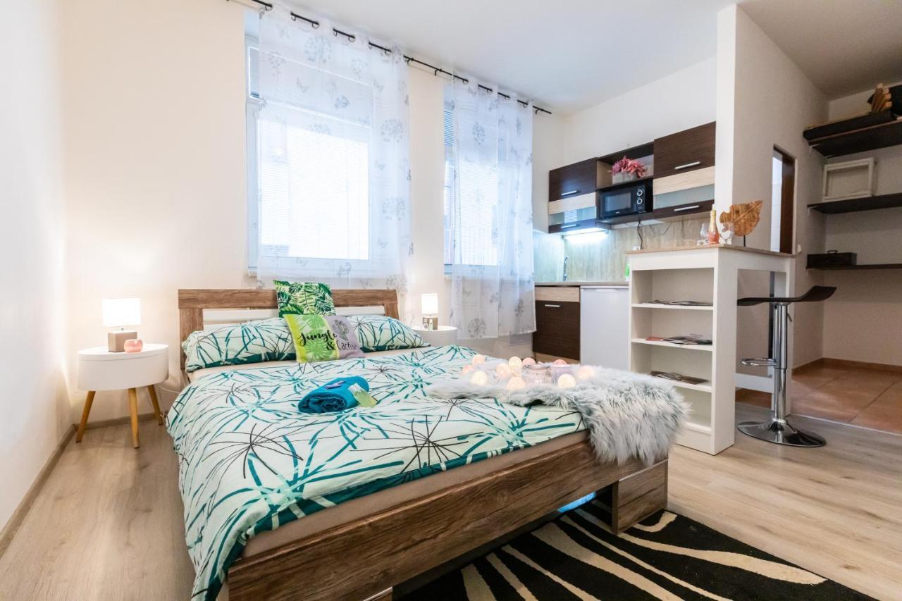 Apartia Krenova, Brno-Center Ngoại thất bức ảnh